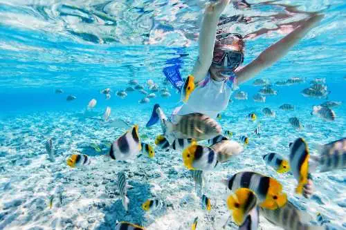 A woman snorkeling in clear ocean waters near Coral Island, surrounded by vibrant, colorful fish.