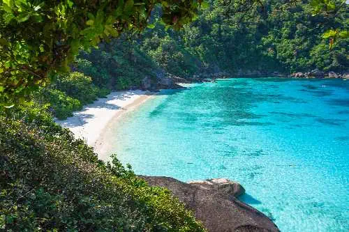 Picturesque Similan Islands beach with golden sand, turquoise waves, and lush greenery along the shore.