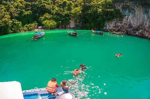 Several people swimming in the serene, clear waters of a bay, surrounded by natural beauty and vibrant sunlight.