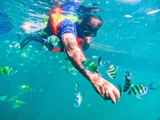 Mann schnorchelt Koh Yao Yai bunte Fische Korallenriff