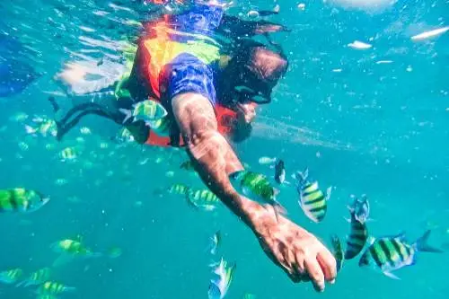 A man is immersed in the ocean, swimming among vibrant fish, highlighting the harmony of human and aquatic life.