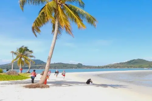 A group of people strolls along the beach, with a palm tree swaying gently in the background under a clear blue sky.