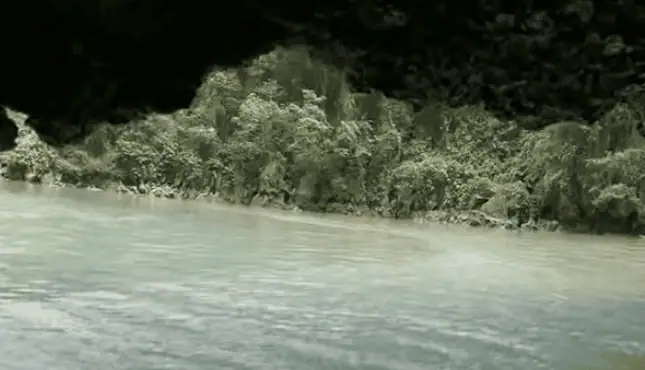 Family paddling through limestone caves in Phang Nga Bay.