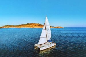 A catamaran sailing effortlessly in the ocean, with its sails billowing in the wind and the horizon stretching far ahead.