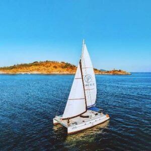 A catamaran sailing effortlessly in the ocean, with its sails billowing in the wind and the horizon stretching far ahead.