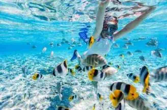 A helmeted woman is surrounded by a school of fish, showcasing a lively underwater environment.