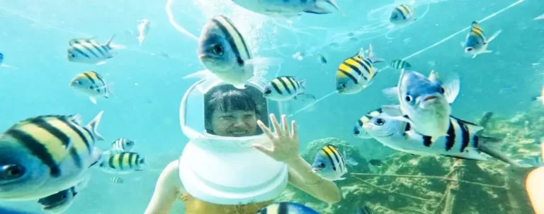 A helmeted woman surrounded by a colorful variety of fish, creating a lively and vibrant underwater scene.