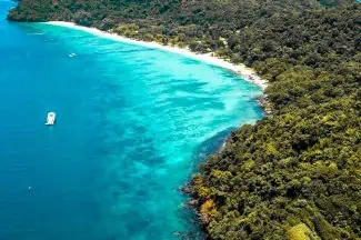 Luftaufnahme, die einen ruhigen Strand zeigt, umrahmt von einem üppigen grünen Wald, der die Schönheit des Kontrasts der Natur am Coral Beach betont.