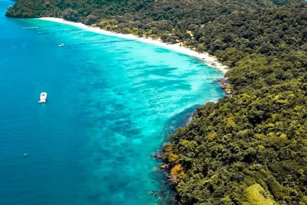 Aerial view showcasing a serene beach bordered by a lush, green forest, highlighting the beauty of nature's contrast at Coral Beach