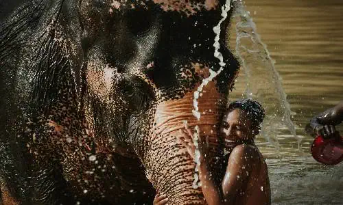 A woman washes an elephant in the water, surrounded by splashes, creating a joyful and playful atmosphere in a Phuket sanctuary.