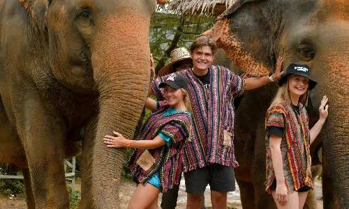 Three individuals pose joyfully with elephants in a lush park, highlighting the special bond between humans and these majestic animals in a Phuket sanctuary.