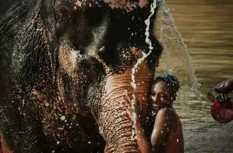 A woman washes an elephant in a body of water, creating splashes as they enjoy a refreshing bath together.