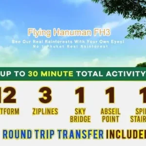 A vibrant flyer advertising a round trip transfer service to the jungle, featuring lush greenery and adventure imagery.