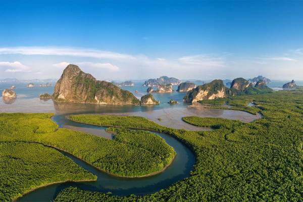 Boat carrying passengers on a serene river surrounded by greenery