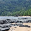 Picturesque sandy beach with longtail boat, rocks and trees, ideal for relaxed boat trips in Phuket.