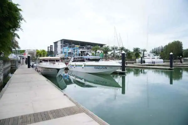 A vibrant marina at Phi Phi Island harbor with several boats docked, reflecting the lively waterfront atmosphere.