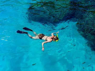 Underwater world of Phi Phi Island with colorful corals and tropical fish