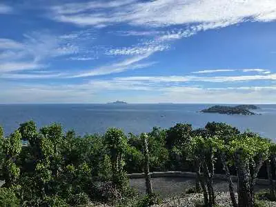 Narrow path through lush greenery leading to the secluded Banana Beach, perfect for a quiet retreat.