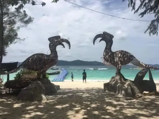 Zwei Vögel sitzen am Strand, während ein Mann vor ihnen steht und den ruhigen Küstenblick während einer Tour zu Racha Island genießt.