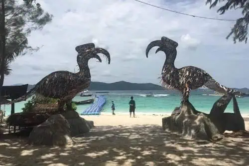 Two birds perched on a beach with a man standing in front, gazing at the serene coastal view during a Racha Island tour.