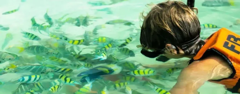 A young child in an orange life jacket watches fish swimming in the clear water, capturing a moment of curiosity and wonder during a Racha Island tour.