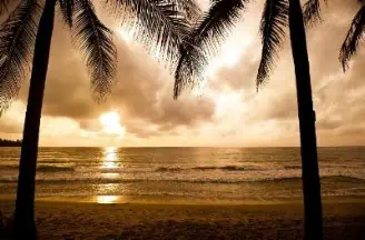 Tropical paradise with palm trees silhouetted against a sunset sea.