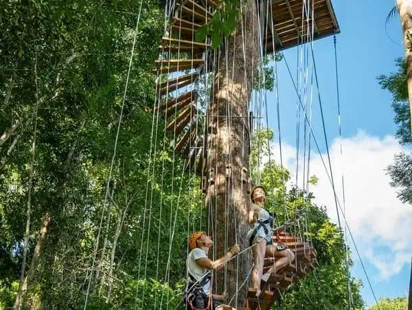 Two individuals navigating a lush jungle on ropes, showcasing adventure and spirit in Phuket.