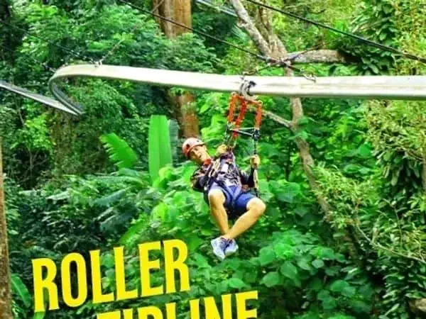 Thrilling roller coaster winding through a lush jungle in Phuket, surrounded by vibrant greenery and towering trees.