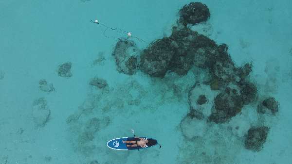 Phi Phi Island (Bamboo Island – Maya Bay – Pileh Lagoon)