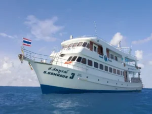 Tauchen in Phuket – alle Tauchgebiete, Preise und die beste Reisezeit