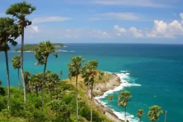Ein atemberaubender Panoramablick von einem Hügel, der den weiten Ozean zeigt, der sich unter einem klaren blauen Himmel bis zum Horizont erstreckt.
