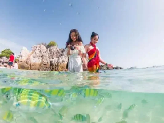 Zwei Frauen in Badeanzügen stehen im Meer, umgeben von bunten Fischen, die um sie herumschwimmen.