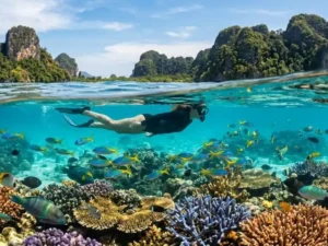 Schnorcheln in Phuket – Die besten Touren